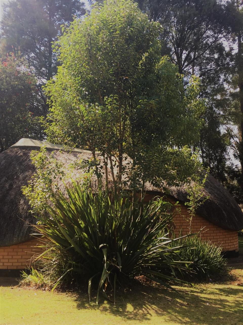 Summit Lodge Graskop Esterno foto